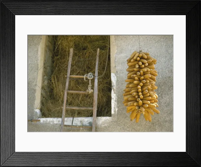 Framed Print : Maize drying outside farm, Rhone Alpes, France, Europe Framed Print : Maize drying outside farm, Rhone Alpes, France, Europe