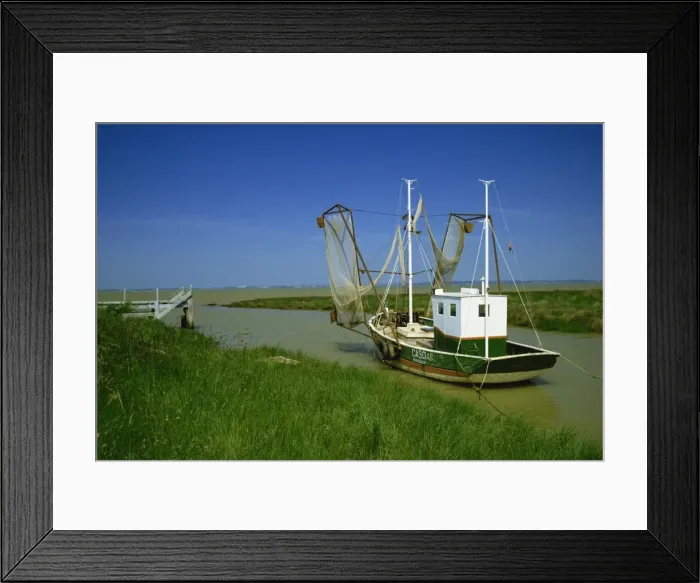 Framed Print : Gironde estuary near Pauillac, Aquitaine, France, Europe Framed Print : Gironde estuary near Pauillac, Aquitaine, France, Europe