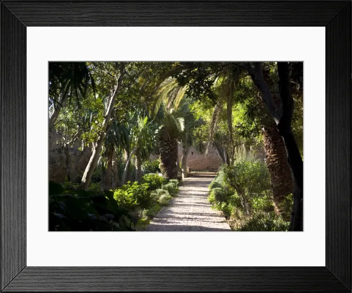 Framed Print : Gardens in the fortress of Chellah, near the Roman site of Sala Colonia Framed Print : Gardens in the fortress of Chellah, near the Roman site of Sala Colonia