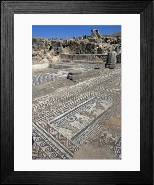 Framed Print : House of Orpheus, Roman site of Volubilis, UNESCO World Heritage Site, Morocco Framed Print : House of Orpheus, Roman site of Volubilis, UNESCO World Heritage Site, Morocco