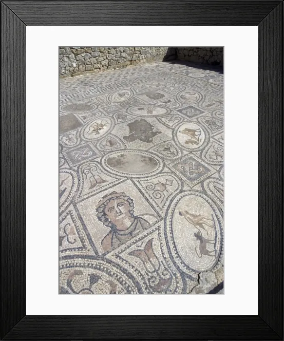 Framed Print : Mosaic from Labour of Hercules House, Volubilis, UNESCO World Heritage Site Framed Print : Mosaic from Labour of Hercules House, Volubilis, UNESCO World Heritage Site