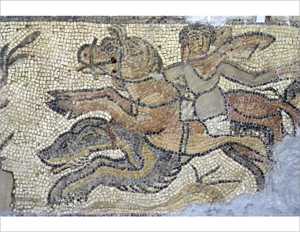 Mosaic, currently in the museum, taken from the Greek and Roman site of Cyrene
