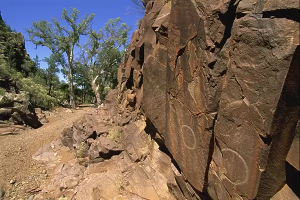 Adnjamathanha Aboriginal engravings, Sacred Canyon, Flinders Range, South Australia