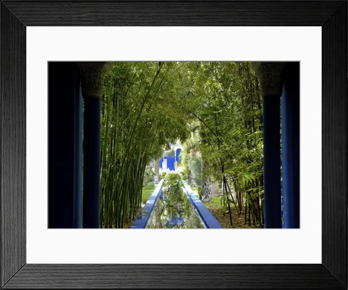 Framed Print : Bamboo in the Majorelle Garden, created by the French cabinetmaker Louis Majorelle Framed Print : Bamboo in the Majorelle Garden, created by the French cabinetmaker Louis Majorelle