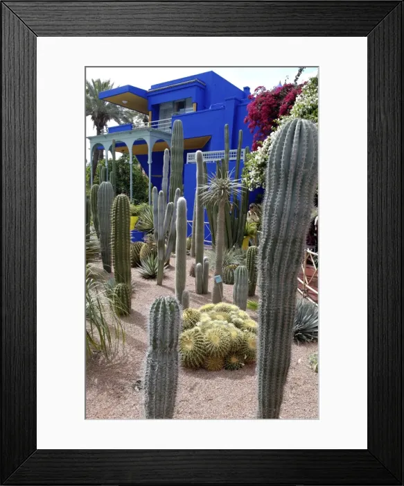 Framed Print : Cacti in the Majorelle Garden, created by the French cabinetmaker Louis Majorelle Framed Print : Cacti in the Majorelle Garden, created by the French cabinetmaker Louis Majorelle