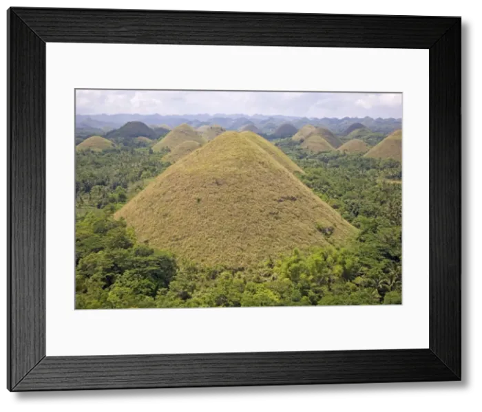 Framed Print : The Chocolate Hills, mounds of earth where grasses turn from green to brown during summer Framed Print : The Chocolate Hills, mounds of earth where grasses turn from green to brown during summer