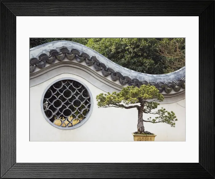 Framed Print : A bonzai tree and toled arch wall in Winding Garden at West Lake, Hangzhou Framed Print : A bonzai tree and toled arch wall in Winding Garden at West Lake, Hangzhou