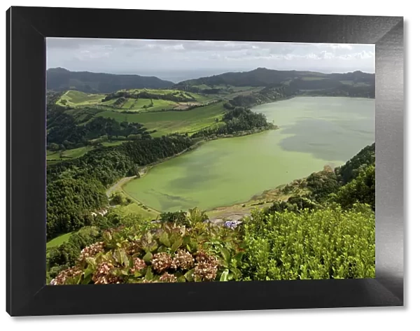 Furnas Lake, Sao Miguel Island, Azores, Portugal, Europe