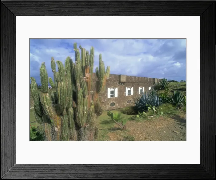 Framed Print : Fort Napoleon, Terre-de-Haut, Les Saintes, French Antilles, West Indies, Central America Framed Print : Fort Napoleon, Terre-de-Haut, Les Saintes, French Antilles, West Indies, Central America