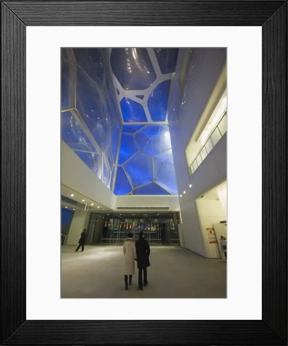 Framed Print : The Water Cube National Aquatics Center swimming arena in the Olympic Park Framed Print : The Water Cube National Aquatics Center swimming arena in the Olympic Park