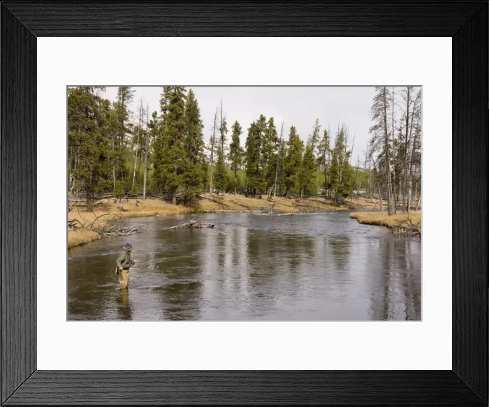 Framed Print : Fly fishing, Firehole River, Yellowstone National Park, UNESCO World Heritage Site Framed Print : Fly fishing, Firehole River, Yellowstone National Park, UNESCO World Heritage Site