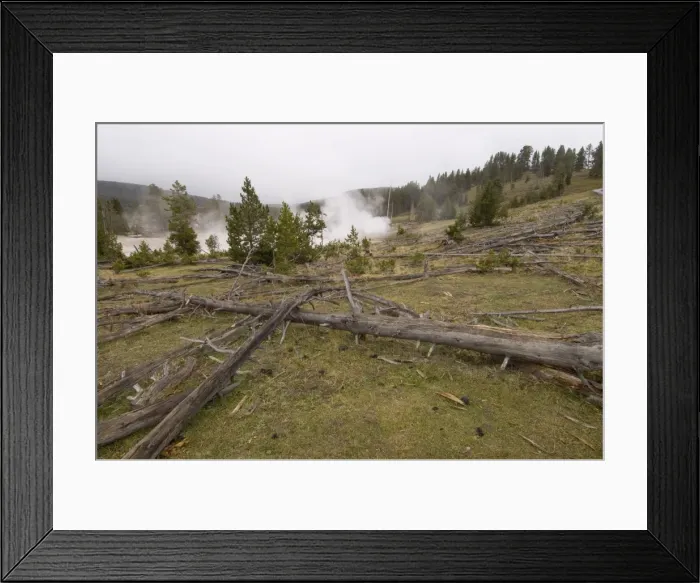 Framed Print : Mud Volcano Area, Yellowstone National Park, UNESCO World Heritage Site Framed Print : Mud Volcano Area, Yellowstone National Park, UNESCO World Heritage Site