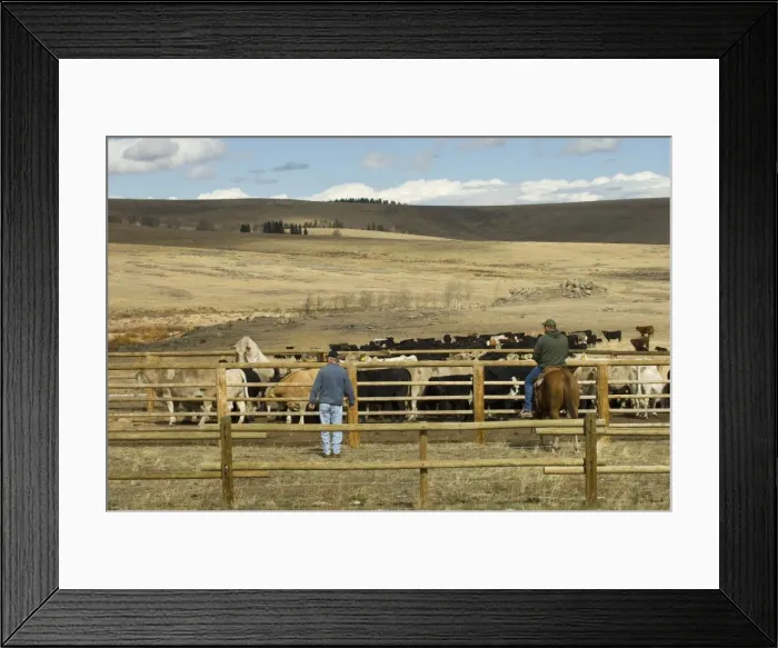 Framed Print : Bighorn Mountains, Wyoming, United States of America, North America Framed Print : Bighorn Mountains, Wyoming, United States of America, North America