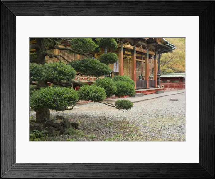 Framed Print : Ueno Toshogu Shrine, Tokyo, Central Honshu (Chubu), Japan, Asia Framed Print : Ueno Toshogu Shrine, Tokyo, Central Honshu (Chubu), Japan, Asia