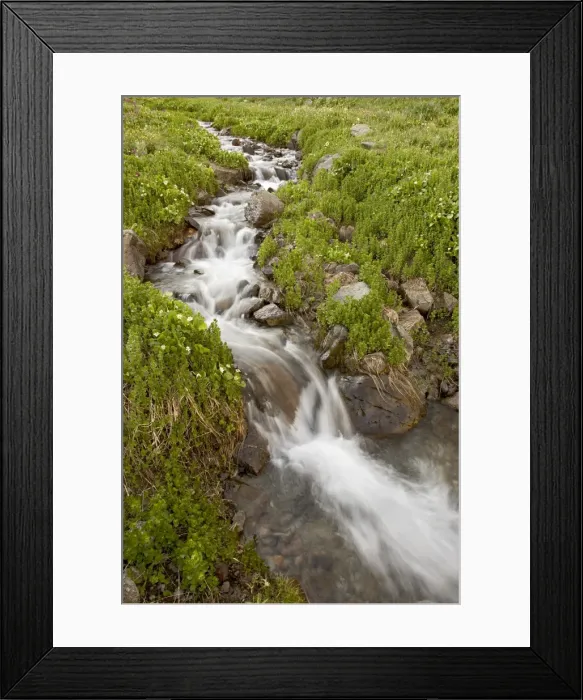 Framed Print : Stream through wildflowers, American Basin, Colorado, United States of America Framed Print : Stream through wildflowers, American Basin, Colorado, United States of America