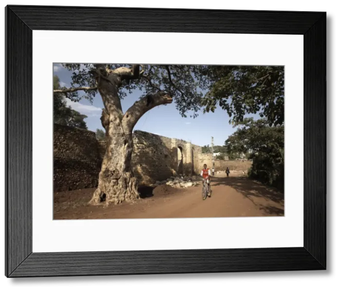 Framed Print : The Buda gate, one of six gates leading into the ancient walled city of Harar Framed Print : The Buda gate, one of six gates leading into the ancient walled city of Harar