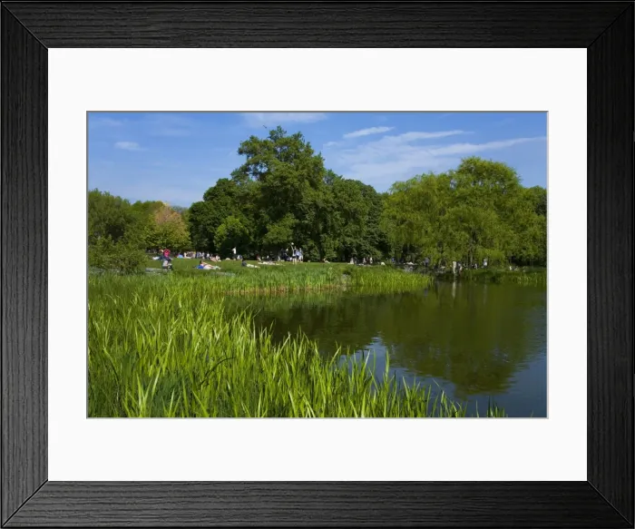 Framed Print : Turtle Pond area in Central Park, New York City, New York, United States of America Framed Print : Turtle Pond area in Central Park, New York City, New York, United States of America