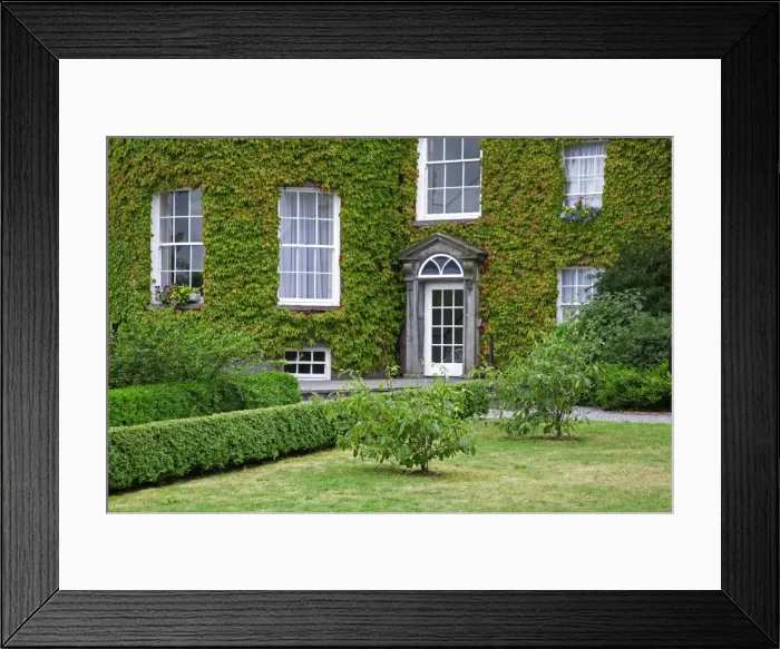 Framed Print : Ivy covered Butler House, Kilkenny City, County Kilkenny, Leinster, Republic of Ireland Framed Print : Ivy covered Butler House, Kilkenny City, County Kilkenny, Leinster, Republic of Ireland