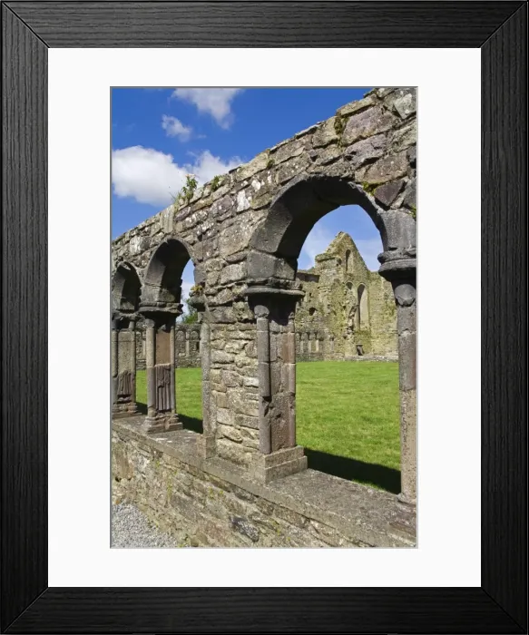 Framed Print : Jerpoint Abbey, County Kilkenny, Leinster, Republic of Ireland, Europe Framed Print : Jerpoint Abbey, County Kilkenny, Leinster, Republic of Ireland, Europe