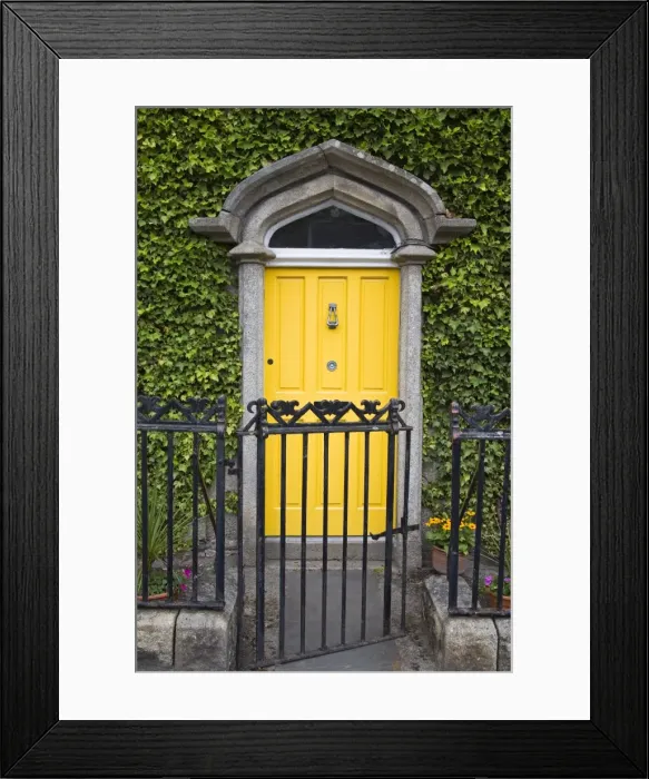 Framed Print : Ivy covered doorway, Town of Borris, County Carlow, Leinster, Republic of Ireland, Europe Framed Print : Ivy covered doorway, Town of Borris, County Carlow, Leinster, Republic of Ireland, Europe