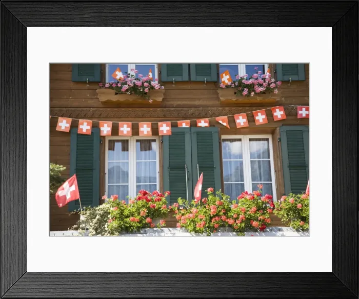 Framed Print : Brienz Lake, Bernese Oberland, Berne Canton, Switzerland, Europe Framed Print : Brienz Lake, Bernese Oberland, Berne Canton, Switzerland, Europe