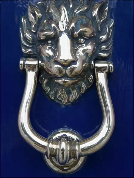 Lion polished brass door knocker, Georgian house, Merrion Square, Dublin