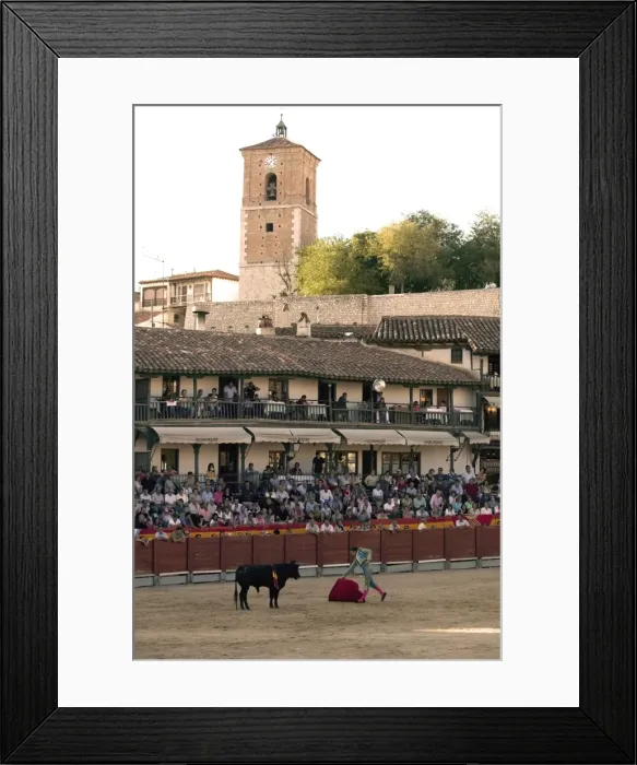 Framed Print : Young bulls (novillos) in the main square of the village used as the Plaza de Toros Framed Print : Young bulls (novillos) in the main square of the village used as the Plaza de Toros
