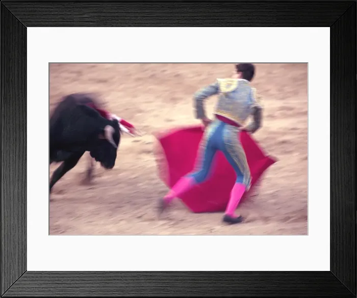 Framed Print : Young bulls (novillos) in the main square of the village used as the Plaza de Toros