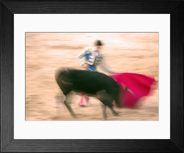 Framed Print : Young bulls (novillos) in the main square of the village used as the Plaza de Toros Framed Print : Young bulls (novillos) in the main square of the village used as the Plaza de Toros