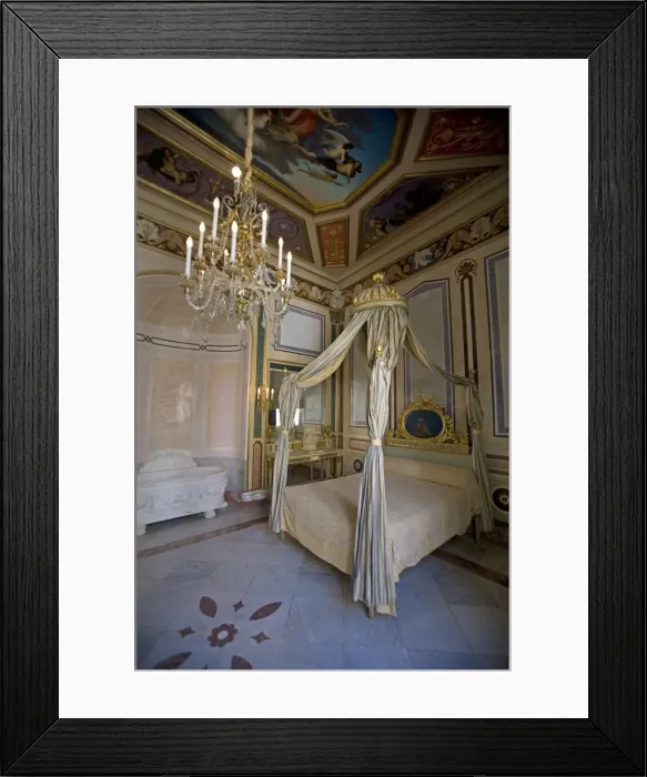 Framed Print : Museo de Ceramica Gonzalez Marti (Ceramics museum), Valencia, Spain, Europe Framed Print : Museo de Ceramica Gonzalez Marti (Ceramics museum), Valencia, Spain, Europe