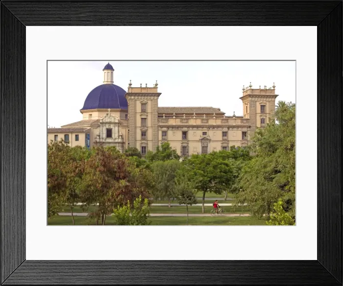 Framed Print : Museo de Bellas Artes (Fine Arts Museum) and former river Turia, Valencia, Spain, Europe Framed Print : Museo de Bellas Artes (Fine Arts Museum) and former river Turia, Valencia, Spain, Europe