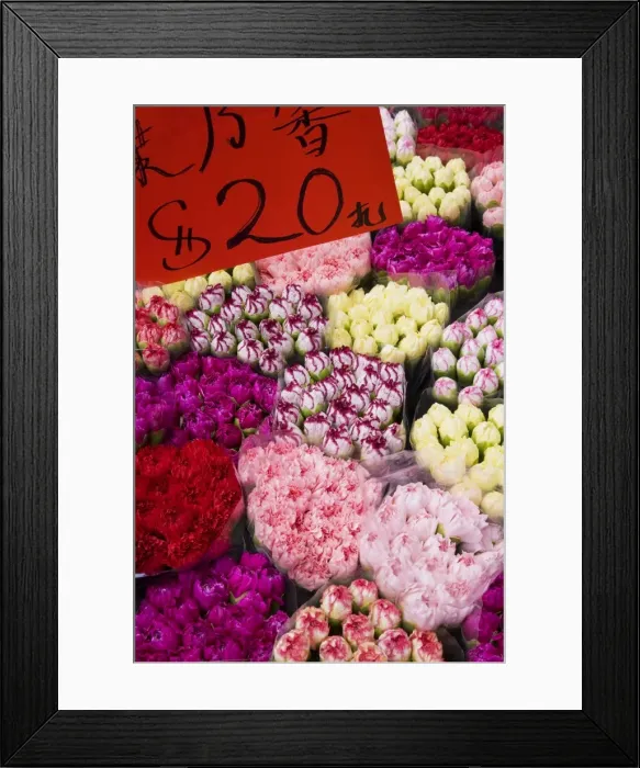 Framed Print : Flower market, Kowloon, Hong Kong, China, Asia Framed Print : Flower market, Kowloon, Hong Kong, China, Asia