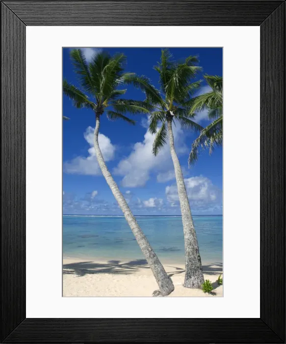 Framed Print : Palm fringed beaches, Cook Islands, South Pacific, Pacific Framed Print : Palm fringed beaches, Cook Islands, South Pacific, Pacific
