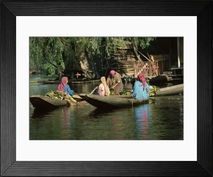 Framed Print : Kashmiri women, Dal Lake, Srinagar, Kashmir, India, Asia Framed Print : Kashmiri women, Dal Lake, Srinagar, Kashmir, India, Asia