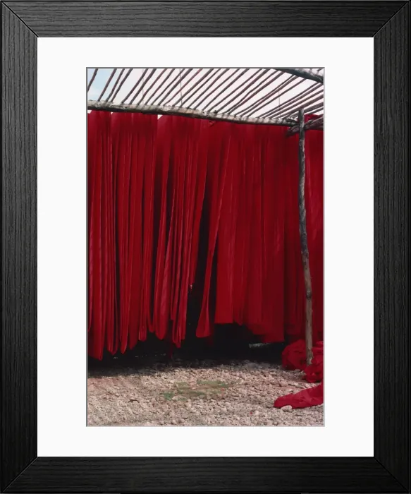 Framed Print : Dyed cotton hanging to dry, Rajasthan state, India, Asia Framed Print : Dyed cotton hanging to dry, Rajasthan state, India, Asia