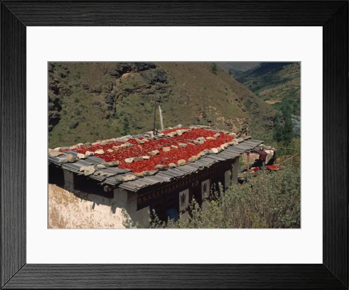 Framed Print : Chillies drying on roof, Bhutan, Asia Framed Print : Chillies drying on roof, Bhutan, Asia