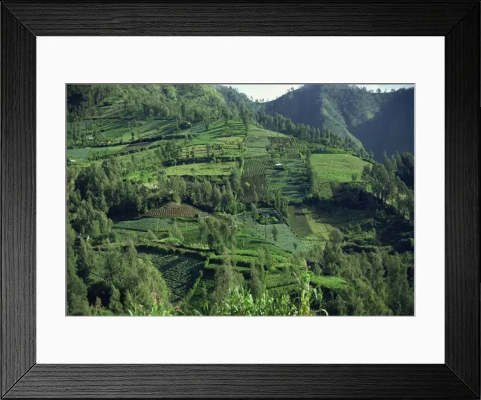 Framed Print : Landscape in Mount Bromo region, Java, Indonesia, Southeast Asia, Asia Framed Print : Landscape in Mount Bromo region, Java, Indonesia, Southeast Asia, Asia