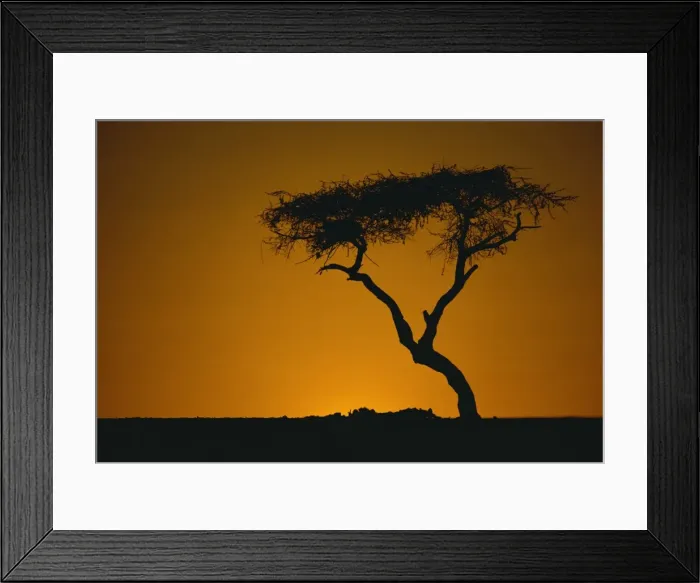 Framed Print : Tenere, Niger, Africa Framed Print : Tenere, Niger, Africa