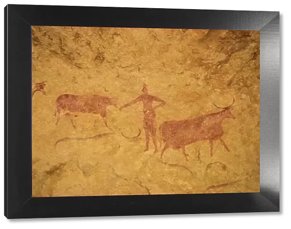 Painting with herdsman tending cattle on cave wall, Tassili Plateau, Algeria