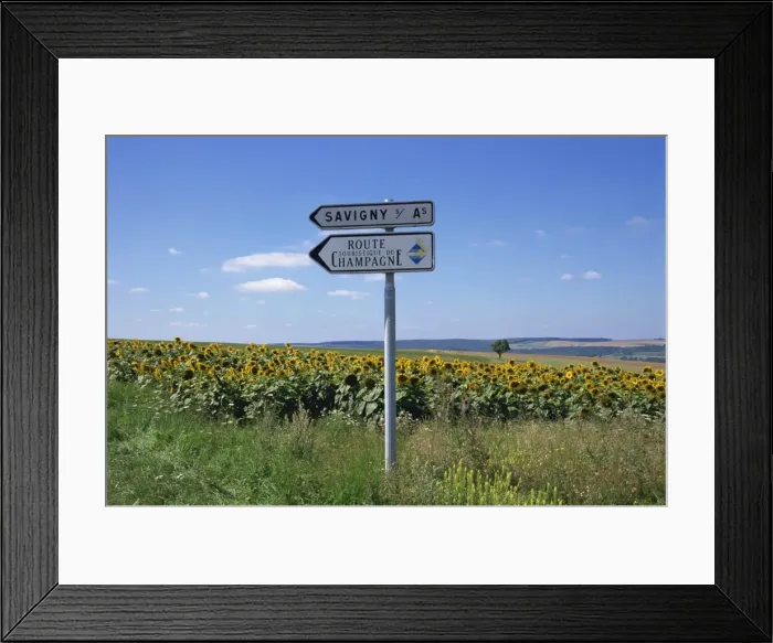 Framed Print : Road sign and sunflowers, Route de Champagne, Savigny, Champagne Ardenne, France, Europe Framed Print : Road sign and sunflowers, Route de Champagne, Savigny, Champagne Ardenne, France, Europe