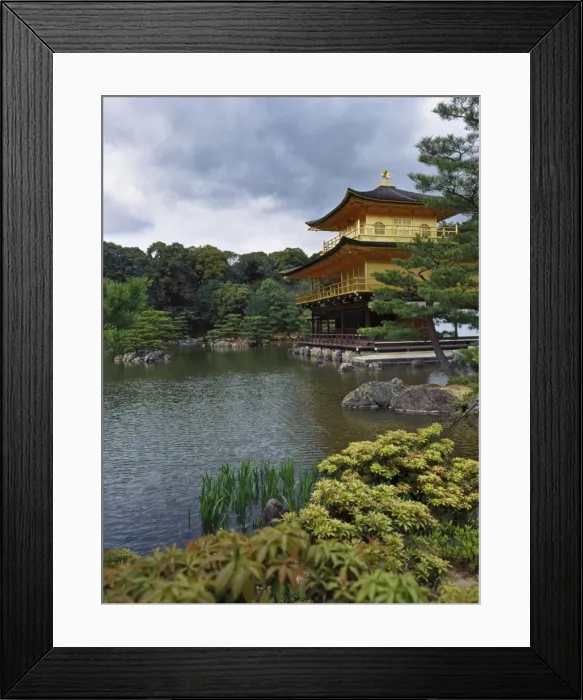 Framed Print : Kinkaku-ji Temple (Rokuon-ji) (Golden Pavilion), Kyoto, Japan, Asia Framed Print : Kinkaku-ji Temple (Rokuon-ji) (Golden Pavilion), Kyoto, Japan, Asia