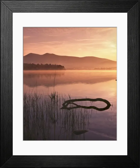 Framed Print : Mist rising on Derwent Water at dawn, Lake District National Park, Cumbria Framed Print : Mist rising on Derwent Water at dawn, Lake District National Park, Cumbria