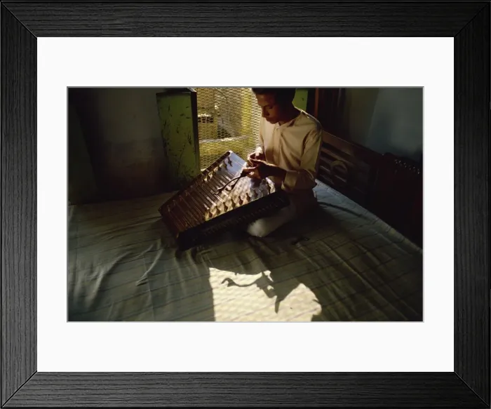 Framed Print : Santoor player, India, Asia Framed Print : Santoor player, India, Asia