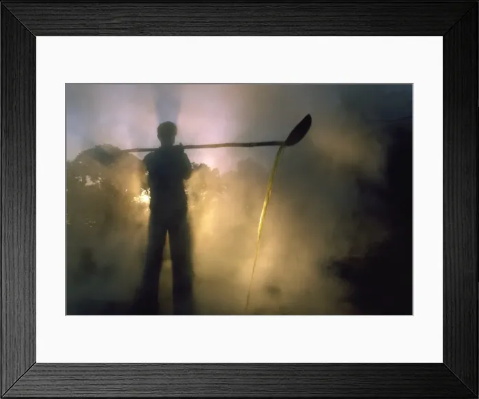 Framed Print : Boiling off water from cane juice to make jaggery (sugar), after sugar cane harvest Framed Print : Boiling off water from cane juice to make jaggery (sugar), after sugar cane harvest