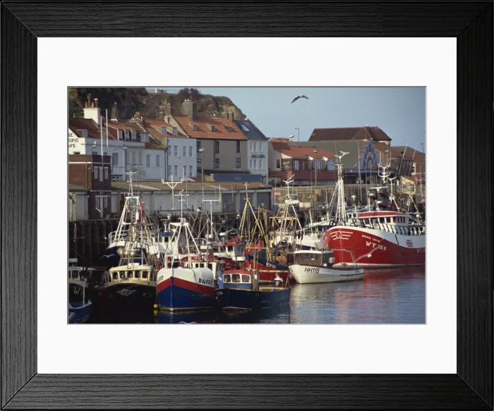 Framed Print : Fishing fleet in harbour, Whitby, North Yorkshire, England, United Kingdom, Europe
