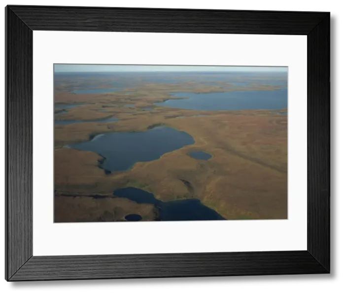 Framed Print : Tundra wetlands, Arctic coast, Northwest Territories, Canada, North America Framed Print : Tundra wetlands, Arctic coast, Northwest Territories, Canada, North America
