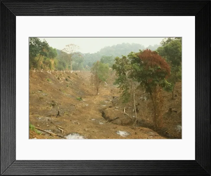 Framed Print : Deforestation for farmland, cleared by slash and burn, Mogok Hills, Mandalay District Framed Print : Deforestation for farmland, cleared by slash and burn, Mogok Hills, Mandalay District
