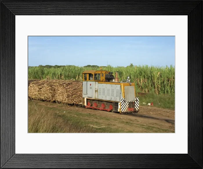 Framed Print : Sugar cane train, west coast lowlands, Viti Levu, Fiji, Pacific Islands, Pacific Framed Print : Sugar cane train, west coast lowlands, Viti Levu, Fiji, Pacific Islands, Pacific