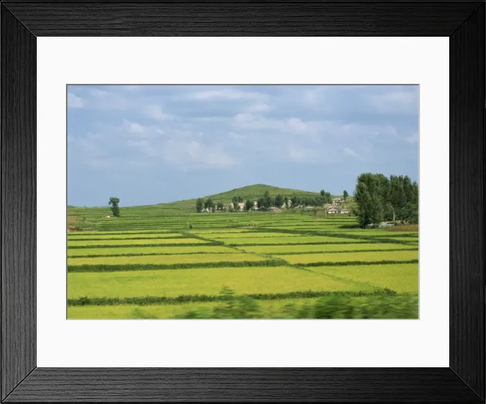 Framed Print : Rice fields in Imjin Valley, Kaesong, North Korea, Asia Framed Print : Rice fields in Imjin Valley, Kaesong, North Korea, Asia