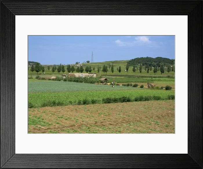Framed Print : Rural houses and vegetable fields, Chaenyong Valley, Sariwon, North Korea, Asia Framed Print : Rural houses and vegetable fields, Chaenyong Valley, Sariwon, North Korea, Asia
